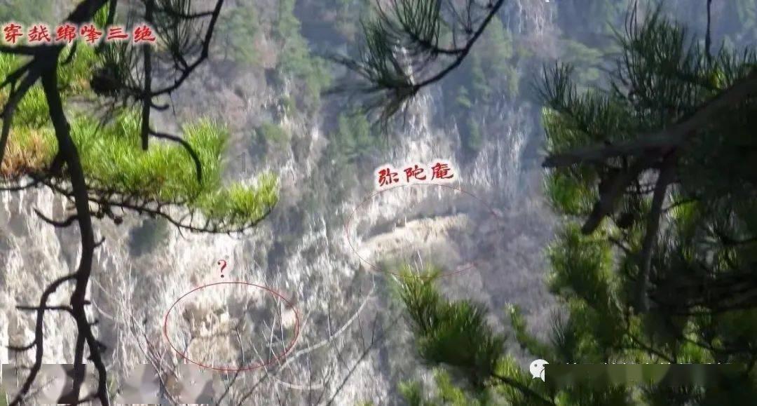 传京东紧急制定主播招聘计划 不考核GMV